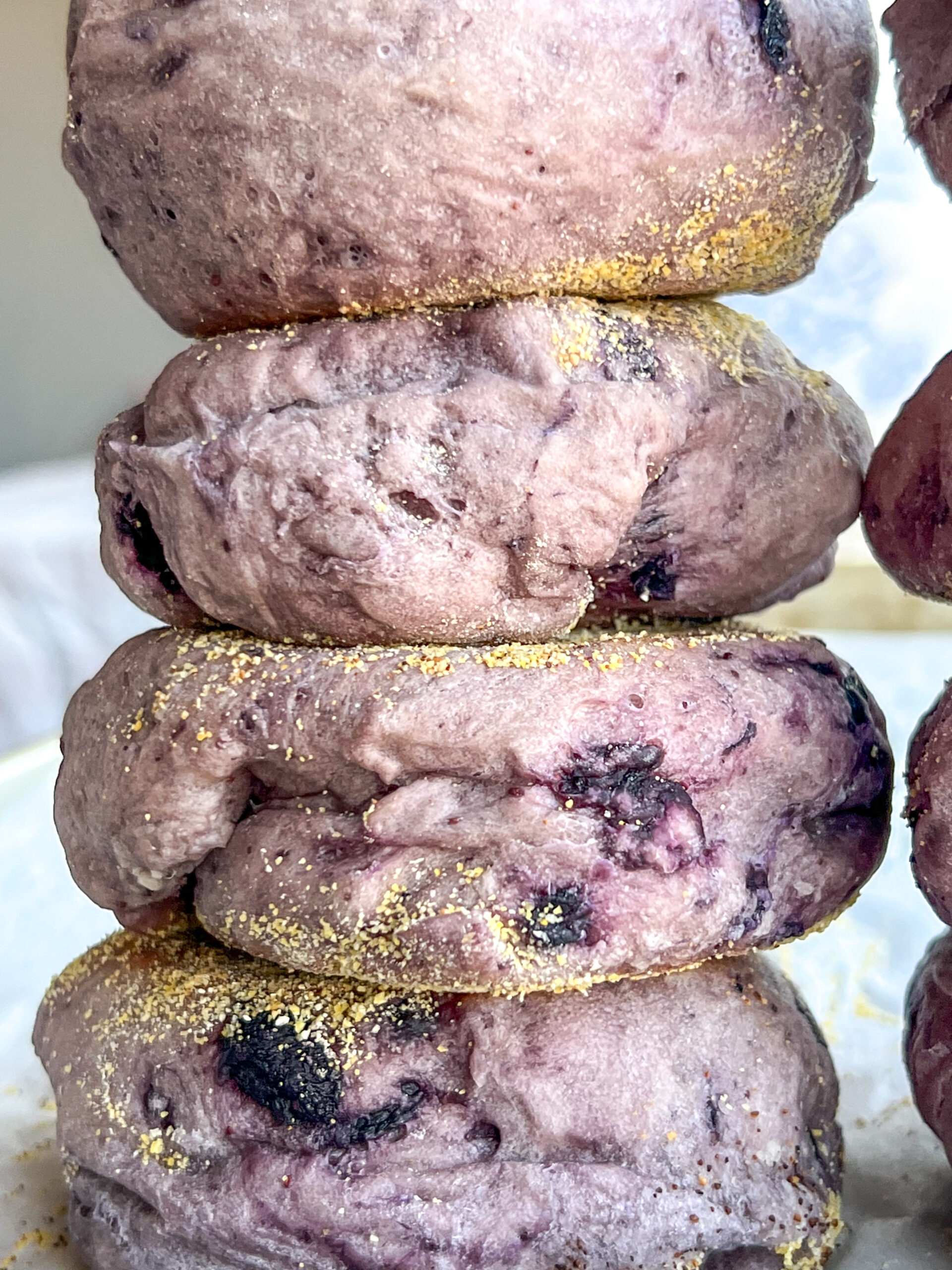 blueberry english muffins with cornmeal