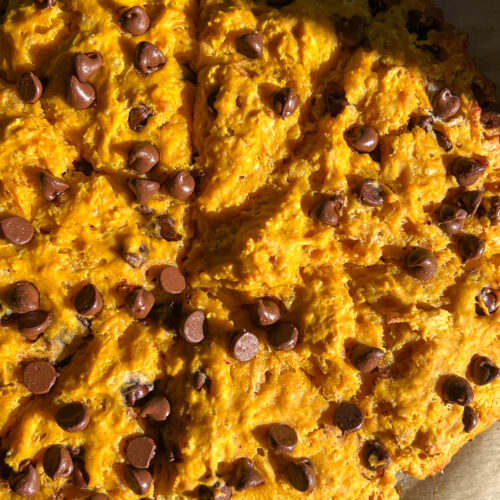 Overhead shot of pumpkin chocolate chunk buttermilk scones