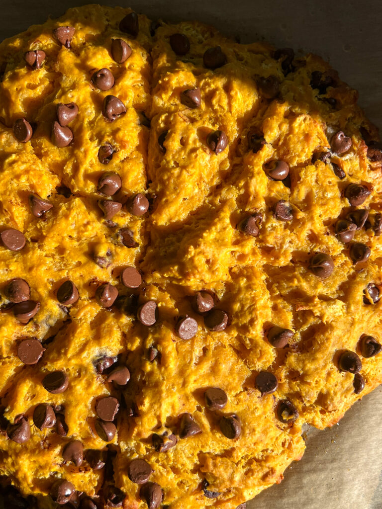 Overhead shot of pumpkin chocolate chunk buttermilk scones